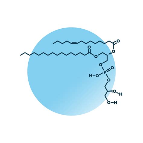 Phosphatidylglycerol Structure