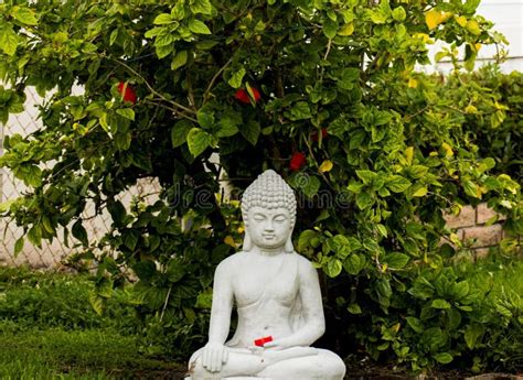 Buddha Statue in Our Garden Stock Image - Image of gold, buddha: 197399333