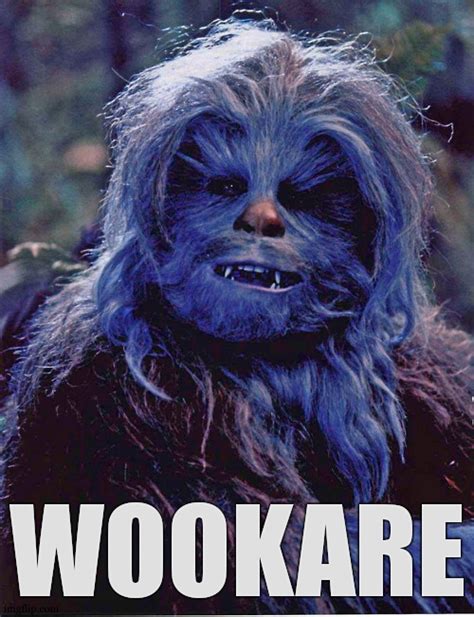 Who care[s] of a wookie in the starwarsmemes stream after all ? - Imgflip