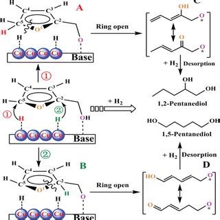 Reaction mechanism of furfural hydrogenolysis over CuMgAl−MMO catalysts... | Download Scientific ...