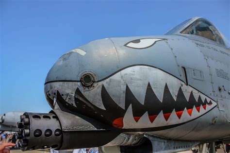 Can the A-10 Warthog Defeat Its Toughest Enemy? | The National Interest