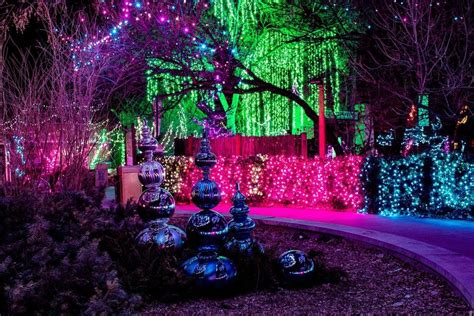 Vote - Zoo Lights at the Denver Zoo - Best Zoo Lights Nominee: 2020 10Best Readers' Choice ...