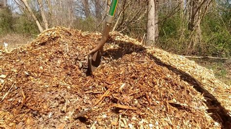 Composting wood chips - YouTube