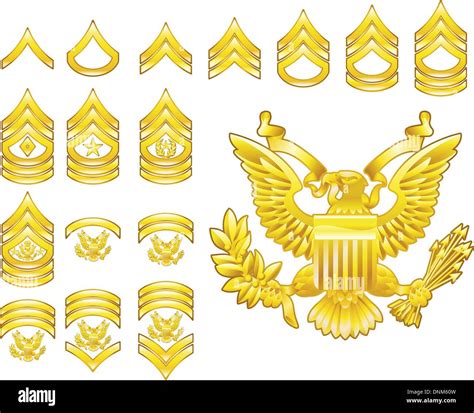 Army Enlisted Insignia