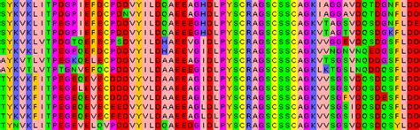 How to Read Multiple Sequence Alignment Results - Bell Adal1961