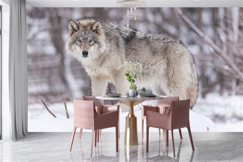 Grey Wolf Wall Mural Animals Nature Wallpaper Living Room Bedroom Photo ...