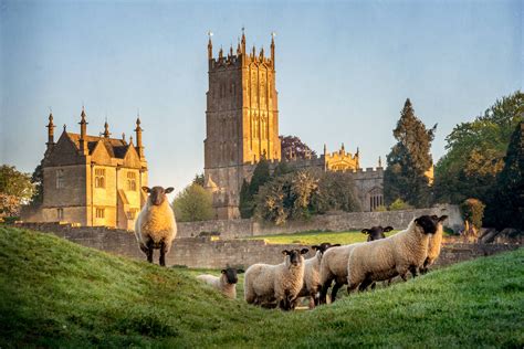 Cotswolds Wool Trade | A Historic Tapestry Uncoded