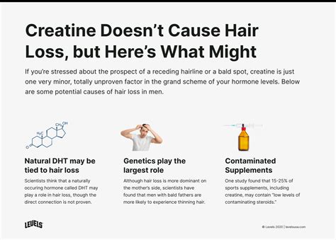 Creatine Causes Hair Loss: Myth or Fact? - Levels