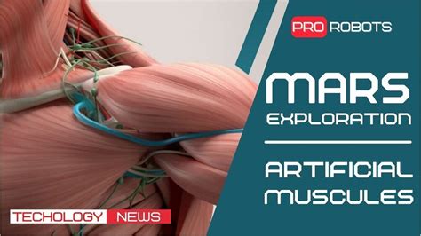 Mars Research | Artificial Muscle