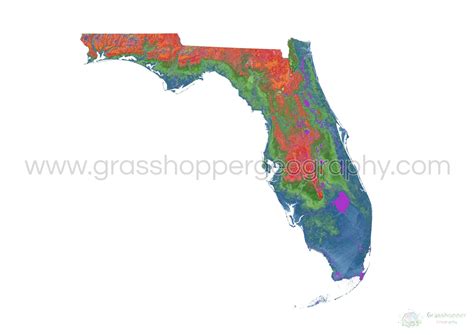 Elevation map of Florida with white background - Fine Art Print | Map ...