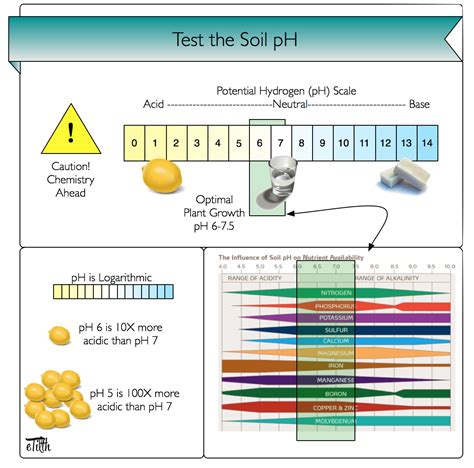 Soil Ph Scale Chart