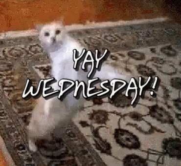 Yay Wednesday GIF - Yay Wednesday YayWednesday - Discover & Share GIFs