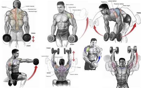 Top 6 Dumbbell Exercises for Shoulders | Shoulder workout, Shoulder workout routine, Shoulder ...