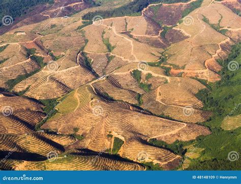 Aerial view of farmlands stock image. Image of farmlands - 48148109