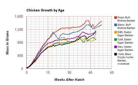 Growth chart | Page 2 | BackYard Chickens - Learn How to Raise Chickens