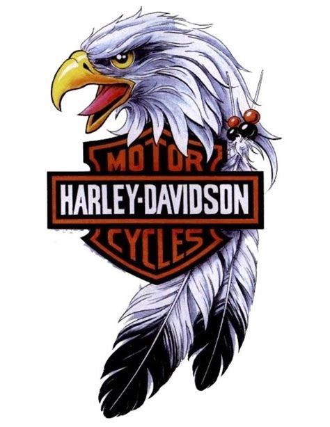 Pin Stencil Eagle Head Pictures on Pinterest | Harley davidson wallpaper, Harley davidson ...