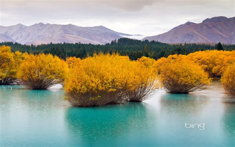 Free download Bing Wallpapers [Daily] March 2013 [1600x1000] for your Desktop, Mobile & Tablet ...