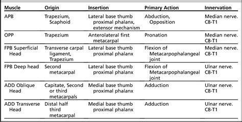 Table 1 from Anatomy and function of the thenar muscles. | Semantic Scholar