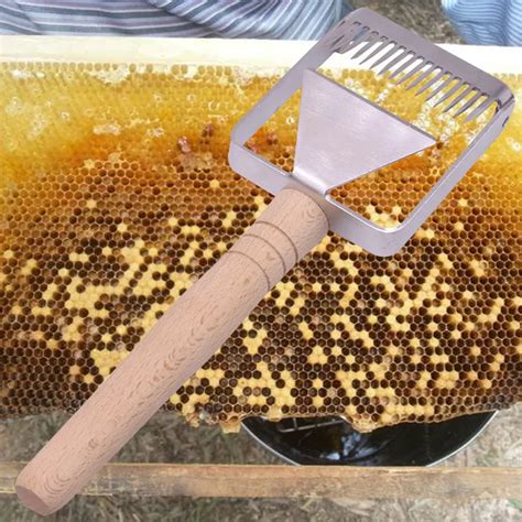 1 pcs Stainless steel 2 in 1 Cut Honey Fork Scraper Beekeeper ...