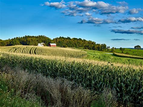 Tough times on the farm • Wisconsin Examiner