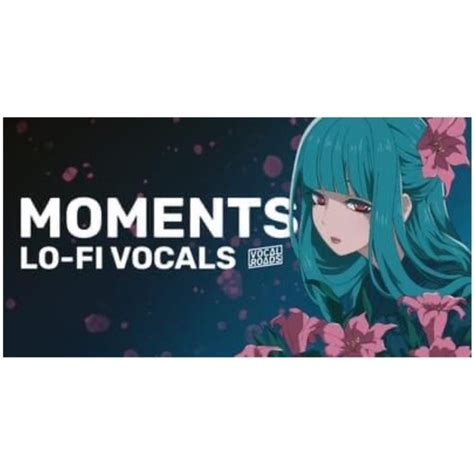 Moments - Lo-Fi Vocals - Recently Added To Loopmasters & Loopcloud ...