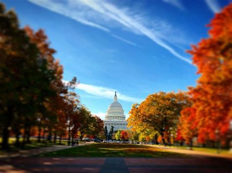 @dustinlauermann - Fall colors surrounding the United States Capitol ...