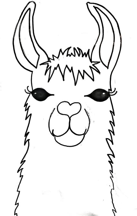 How To Draw Llama Step By Step at Drawing Tutorials