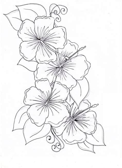 Free Hawaiian Flowers Drawings, Download Free Hawaiian Flowers Drawings ...