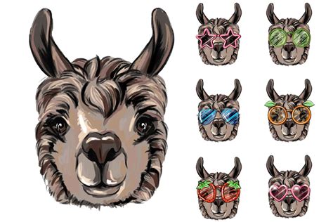 animals with glasses clipart | Pre-Designed Photoshop Graphics ~ Creative Market