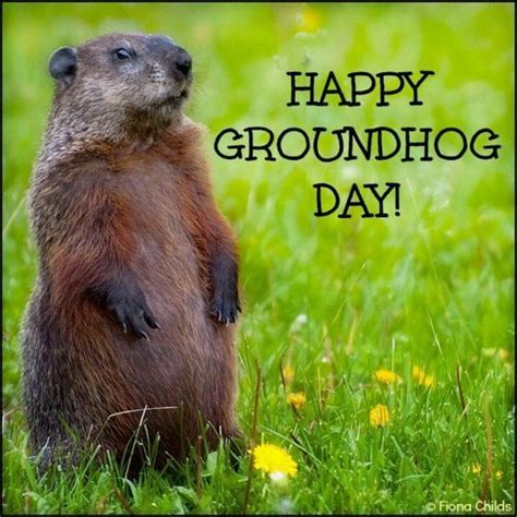 Groundhog Day; 2-2 ("I'm alright, don't nobody worry 'bout me") | What ...