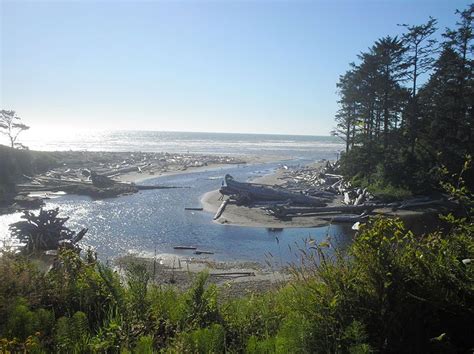 Kalaloch, Washington State | Places to visit, Places to travel, Places to go