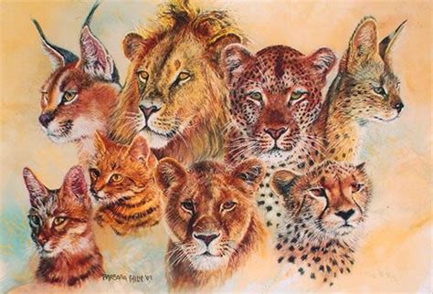 They are, from left to right; Lynx or Caracal (top left), Lion, Leopard, Serval, African Wild ...