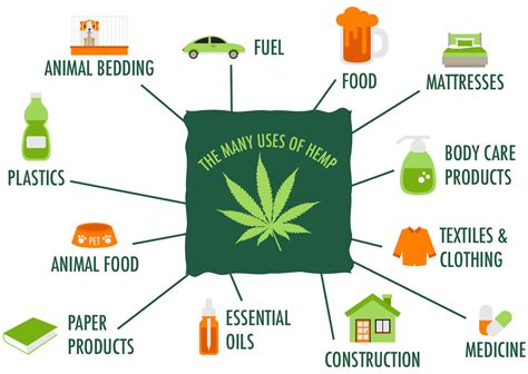 What Is Industrial Hemp? Industrial Hemp Definition - Happy Hemp