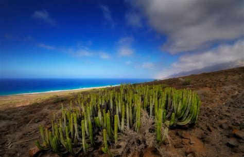 Weather in the Canary Islands in january 2021 - Climate, Temperature ...