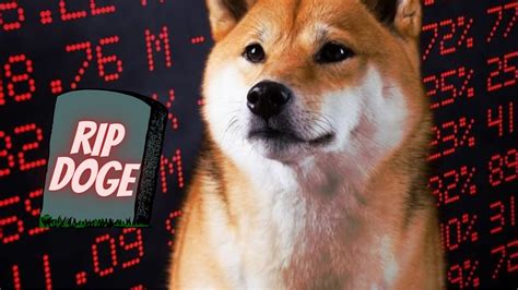 RIP DOGE COIN | MEME COMPILATION - YouTube