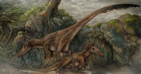 PALEONTOLOGICAL STUDIES OF SOUTH CAROLINA | Austroraptor Information Sheet