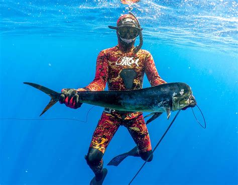 Now carrying Spearfishing Gear