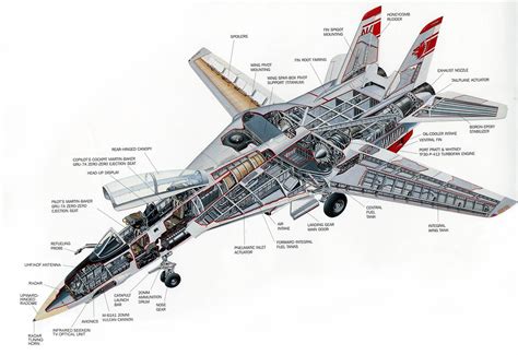 Grumman F-14 Tomcat Cutaway Drawing in High quality