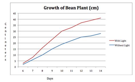 Our Bean Plant's Growth