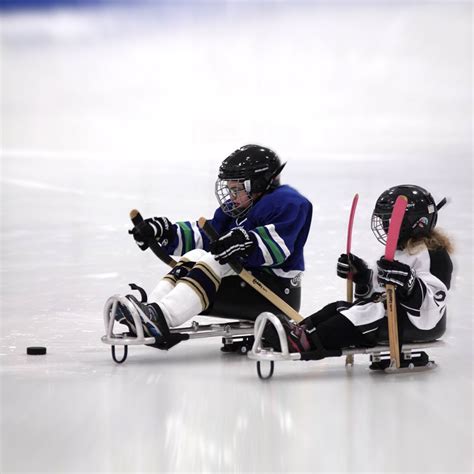 » Hockey Sled Design and Construction