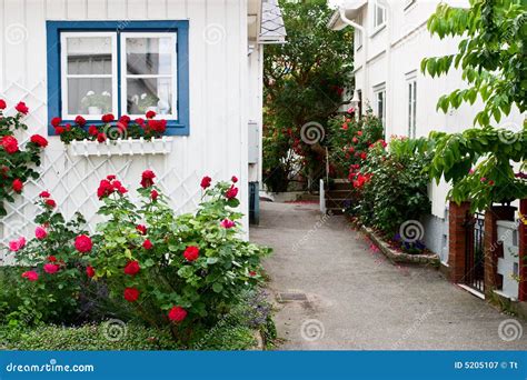 House with red roses stock image. Image of entrance, flower - 5205107