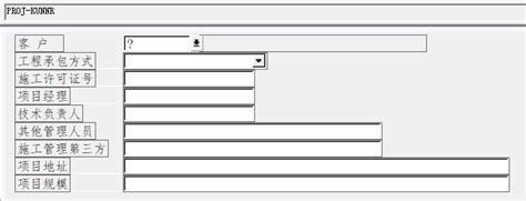 CJ20N project definition attribute field enhancement - Programmer All