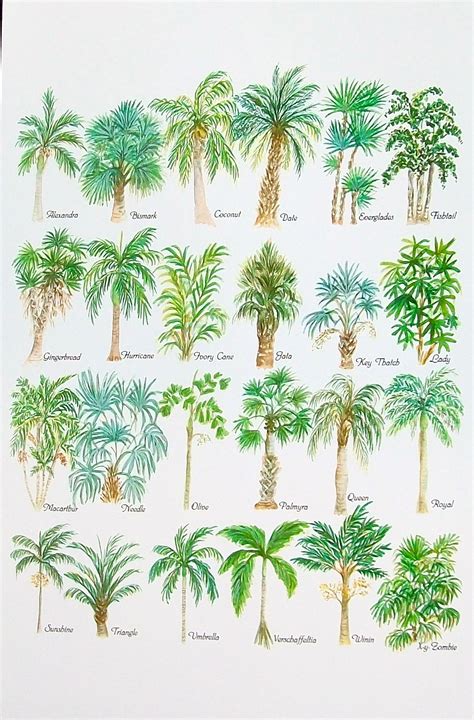 De 25+ bedste idéer inden for Palm tree drawing på Pinterest | Scene og Palmetræer