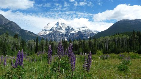 Mount Robson | Mount Robson is the most prominent mountain i… | Flickr