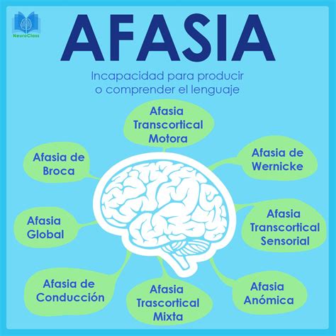 an info poster with words describing the different areas of the brain