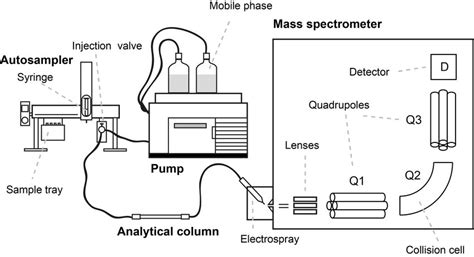 LCMS Schematic