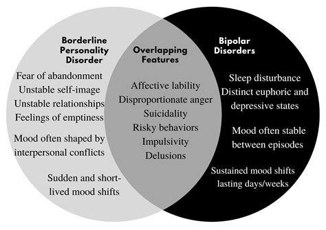 Borderline Personality Disorder Brain Vs Normal