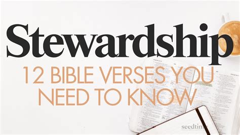 Stewardship: 12 Bible Verses You Need to Know