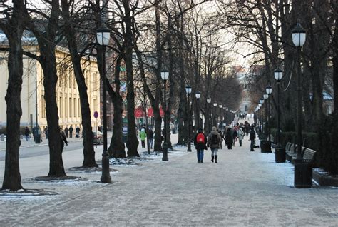 Top Reasons to Visit Oslo in Winter - Oslo Blog