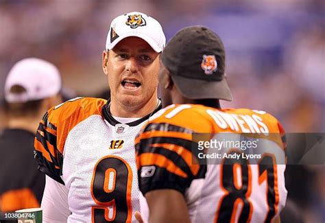 2,283 Carson Palmer Bengals Stock Photos, High-Res Pictures, and Images ...